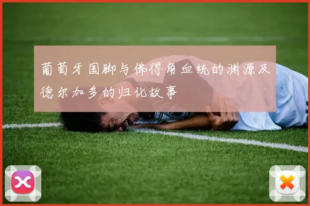葡萄牙国脚与佛得角血统的渊源及德尔加多的归化故事