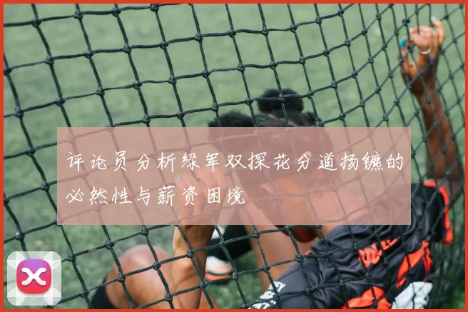 评论员分析绿军双探花分道扬镳的必然性与薪资困境