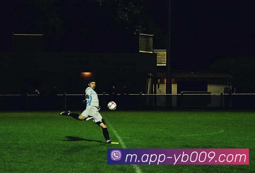 奖项图3